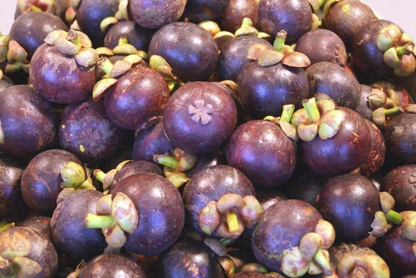 Μοβ mangosteen — Φωτογραφία Αρχείου