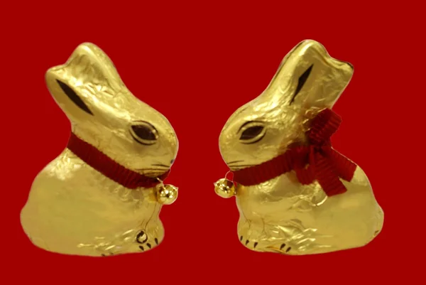 Загорнуті Їж шоколадні кролики — стокове фото
