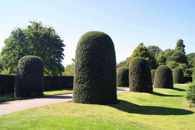 Kraliyet Botanik Bahçeleri, Kew, Londra, İngiltere