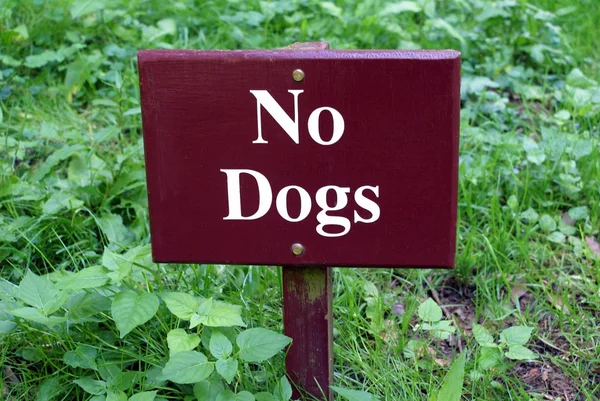 No dogs sign — Stock Photo, Image