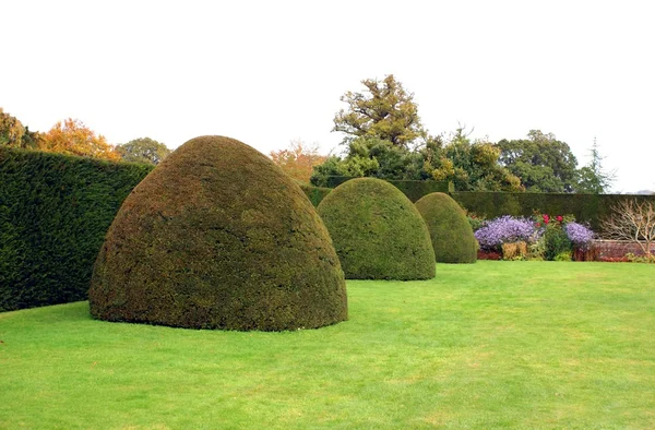 Yew figurklippning trädgård, Powis castle, Welshpool, Powys, Wales, England — Stockfoto