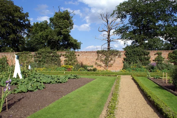 Garden — Stock Photo, Image