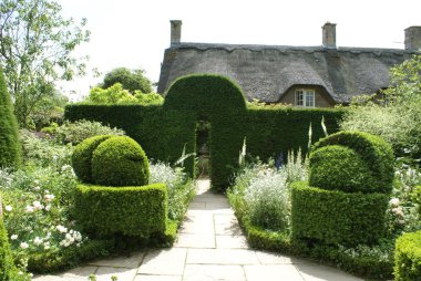 garden pathway with topiary trees