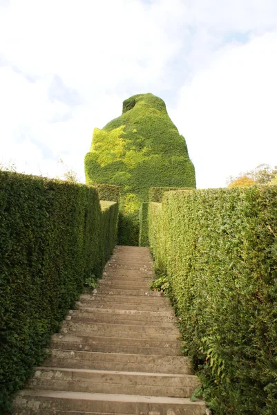 Garden steps and topiary, Powis Castle, Welshpool, Powys, Wales, England — Stock Photo, Image