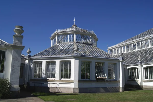 Invernadero. En el invernadero. Royal Botanic Gardens, Kew, Inglaterra — Foto de Stock