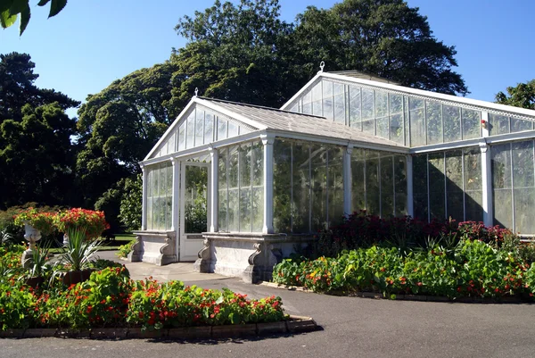 Invernadero. En el invernadero. Royal Botanic Gardens, Kew, Inglaterra —  Fotos de Stock