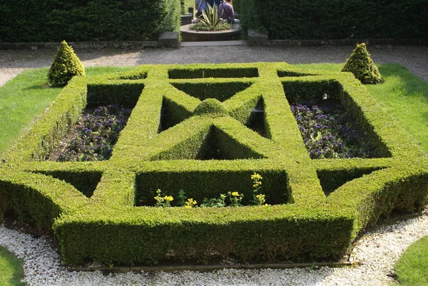 Сад вузлів. коробкові огорожі. садове мистецтво. дизайн саду — стокове фото