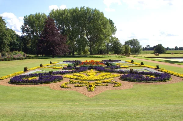 Garden — Stock Photo, Image