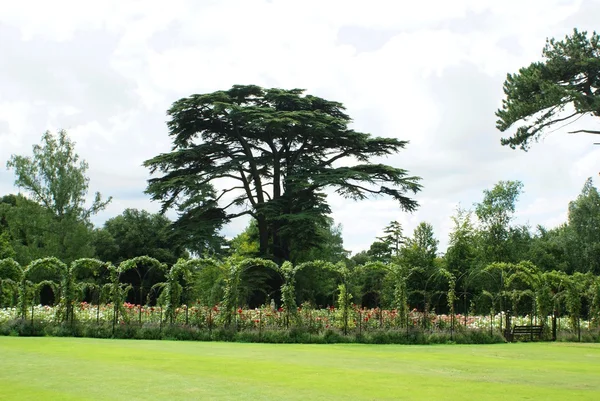 Blenheim Palace rose garden in Woodstock, Oxfordshire, England — Stock Image Blenheim Palace rose garden in Woodstock, Oxfordshire, England Royalty Free Stock Images