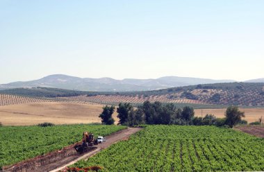 tarım arazileri almodovar del rio şehri cordoba, Endülüs, İspanya'nın havadan görünümü