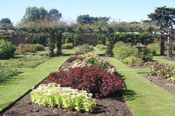 デュークス ガーデンでバラのアーチ。王立植物園、Kew、ロンドン、イングランド — ストック写真