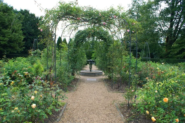 Verzonken tuin rozentuin — Stockfoto