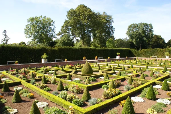 Knot garden — Stock Photo, Image