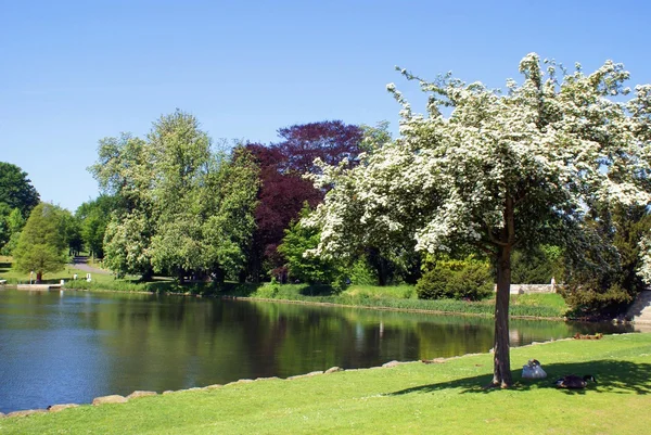 Leeds Castle garden and lake in Maidstone, Kent, England, Europe — Stok fotoğraf