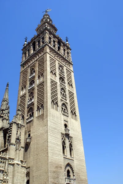 O campanário da Catedral de Sevilha em Sevilha, Andaluzia, Espanha, Europa — Fotografia de Stock