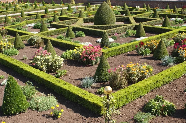 Jardín de nudo —  Fotos de Stock