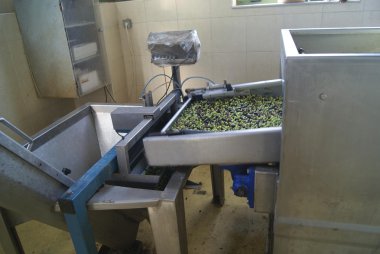 Tarım zeytin işleme makinaları