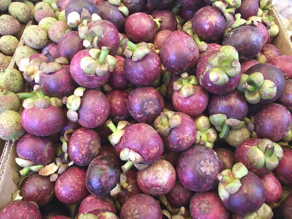 Paarse mangosteen — Stockfoto