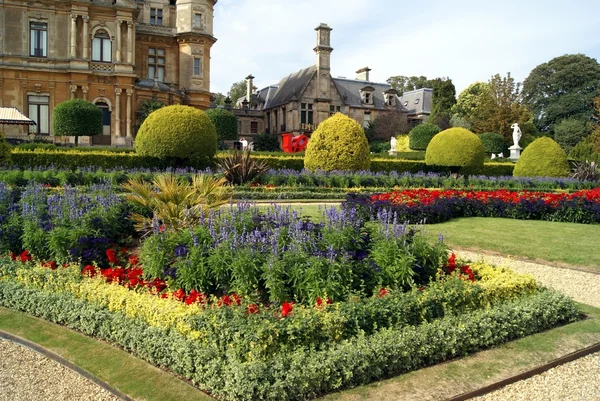 Garden — Stock Photo, Image