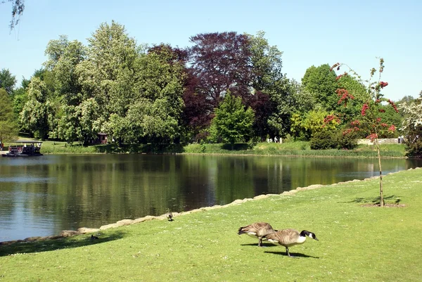 Jardin du château de Leeds à Maidstone, Kent, Angleterre, Europe — Photo