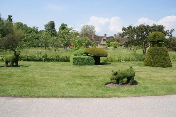 Hever Castle Yew topiary garden in Hever, Edenbridge, Kent, Inglaterra, Europa —  Fotos de Stock