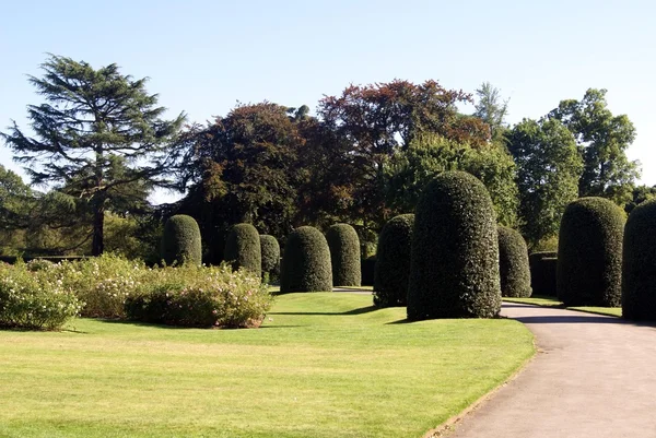 The Royal Botanic Gardens, Kew, Londres, Inglaterra, Europa —  Fotos de Stock