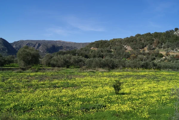 Paysage méditerranéen au printemps — Photo