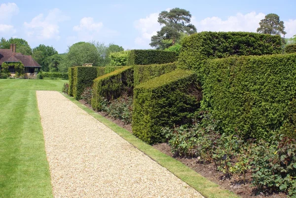 Vytvarovaný plot, zahrada zámku Hever Hever, Edenbridge, Kent, Anglie — Stock fotografie