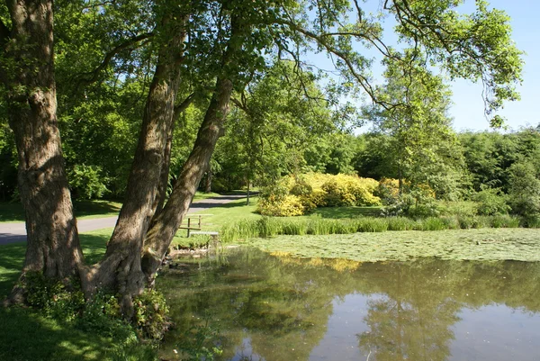 Maidstone, Kent, İngiltere'de, Avrupa'nın Leeds Castle Bahçe — Stok fotoğraf