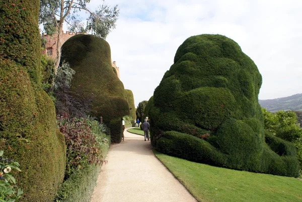 花园小径。博维斯城堡花园一百十九、 波伊斯、 威尔士、 英格兰 — 图库照片