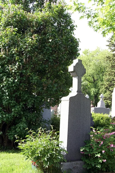 墓石。廃棄 (tombstone)。墓地または墓地の墓石 — ストック写真