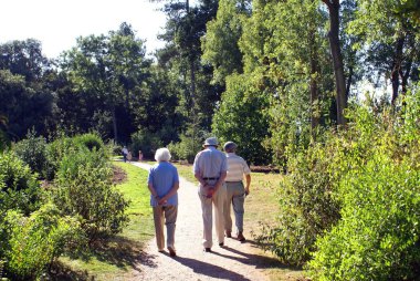 arkadaşlar bir parkta yürüyüş