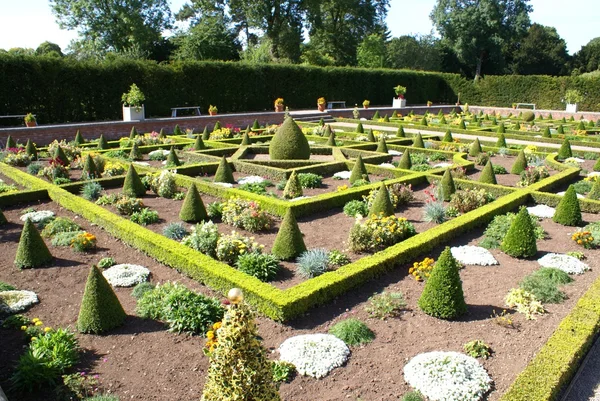 Jardín de nudo — Foto de Stock