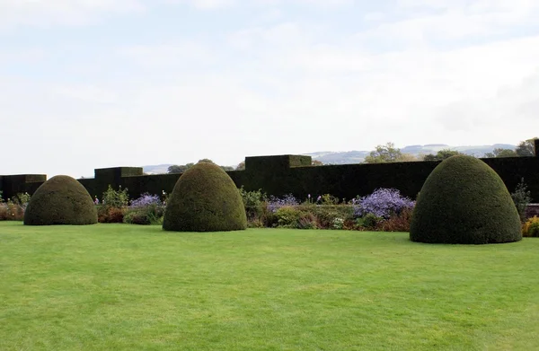 Powis Castle topiary garden di Welshpool, Wales, Inggris — Stok Foto