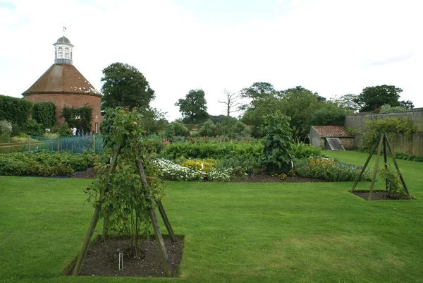 Groentetuin — Stockfoto