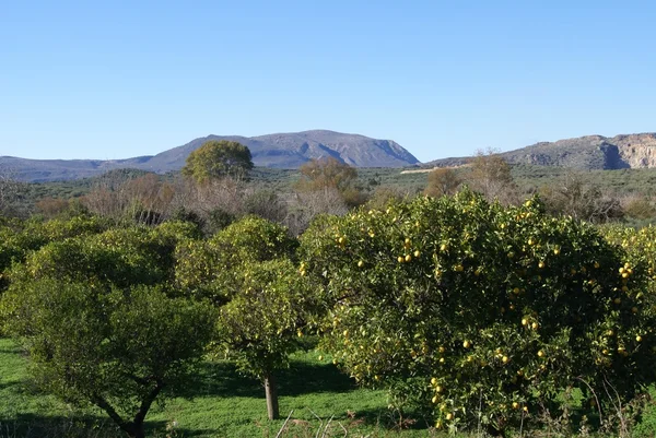 Tierras agrícolas mediterráneas — Foto de Stock