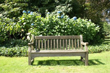 Bahçede ahşap bir bank