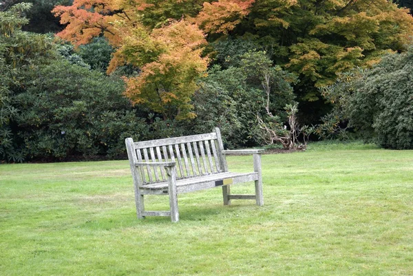 Träbänk i en trädgård. Sittplats i en trädgård — Stockfoto