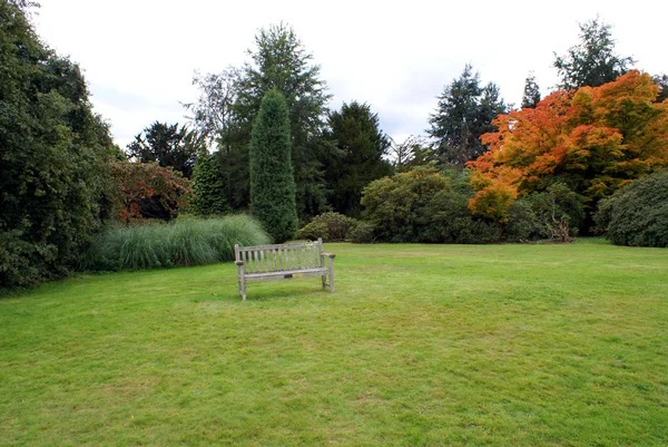 Banco de madeira em um jardim. Assento em um jardim — Fotografia de Stock