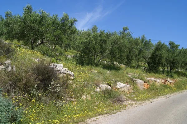 Vistas ao ar livre em Kalyves, Creta, Grécia, Europa — Fotografia de Stock