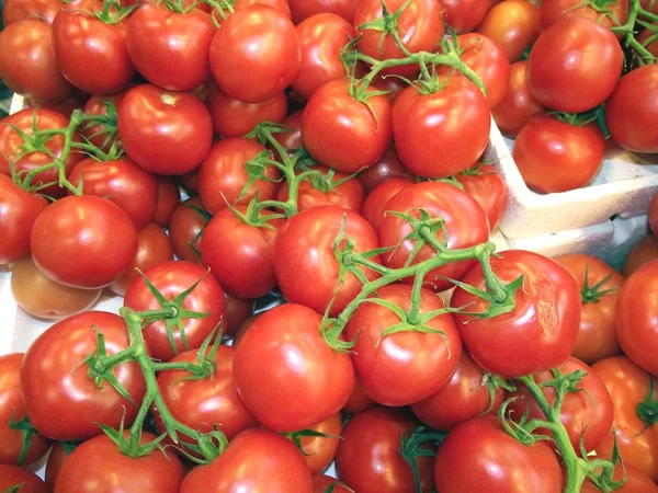 Zobrazit rajčat v obchodě s potravinami na trh — Stock fotografie