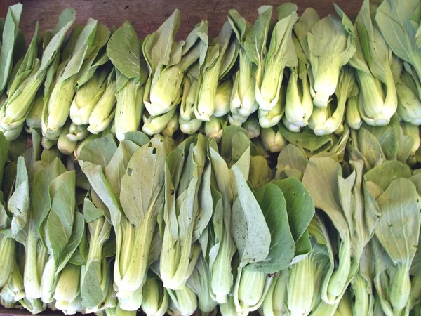 Weergave van Chinese kool in een supermarkt op een markt — Stockfoto