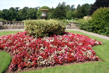 Urn ve çiçek yatak