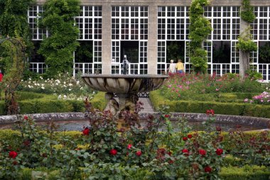 bir gül bahçesinde çeşme