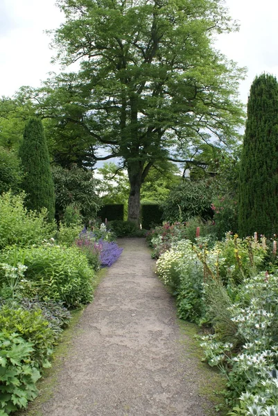 Garden path — Stock Photo, Image