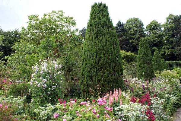 Garden — Stock Photo, Image