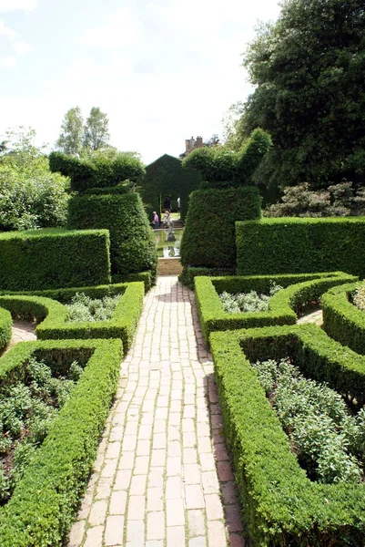 Knot topiary garden — Stock Photo, Image