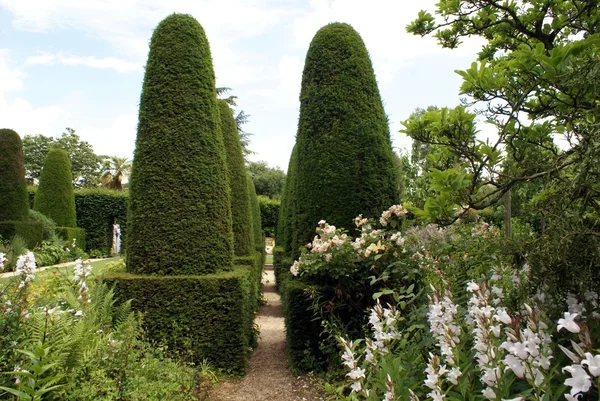 Topiary κήπο Λεωφόρος — Φωτογραφία Αρχείου