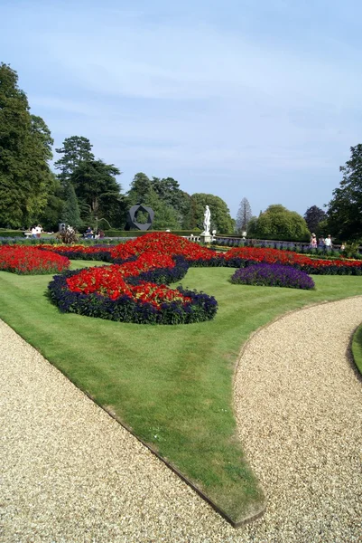 Garden — Stock Photo, Image