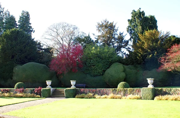 Garden — Stock Photo, Image